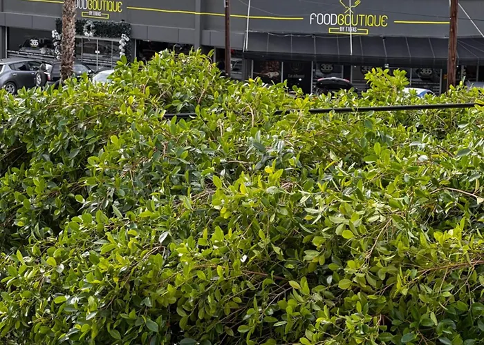 Apartamento Modern Nr12 Private Kitchenette, Bathroom, Balcony *